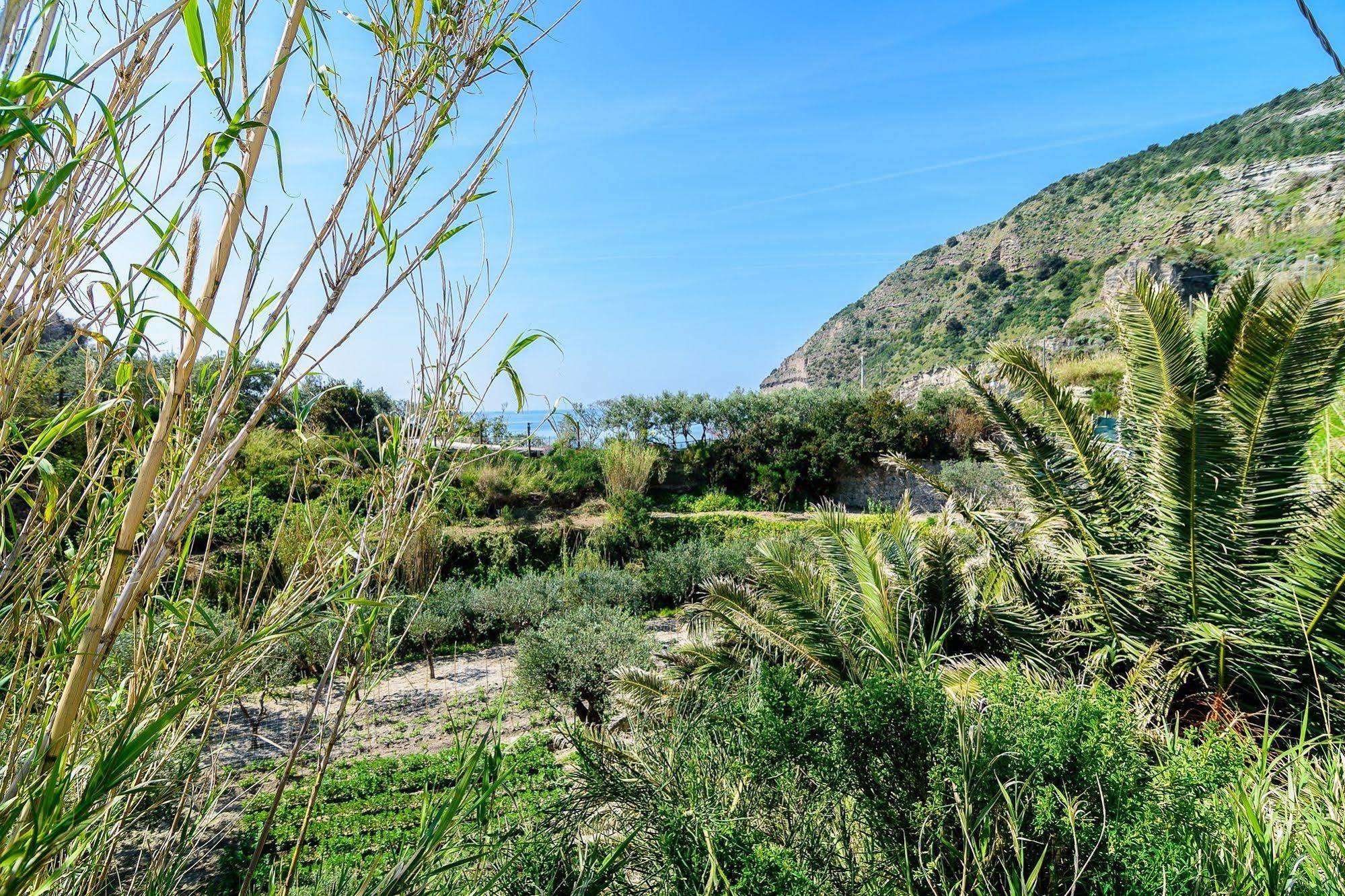 Hotel Villa Fumerie Forio  Bagian luar foto